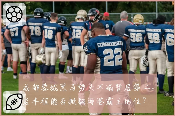 成都蓉城黑马势头不减暂居第二，后半程能否掀翻海港霸主地位？