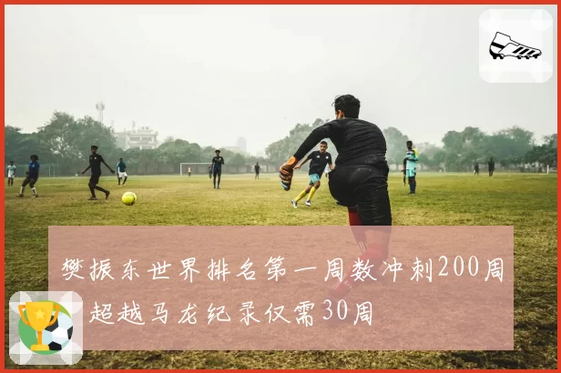 樊振东世界排名第一周数冲刺200周，超越马龙纪录仅需30周